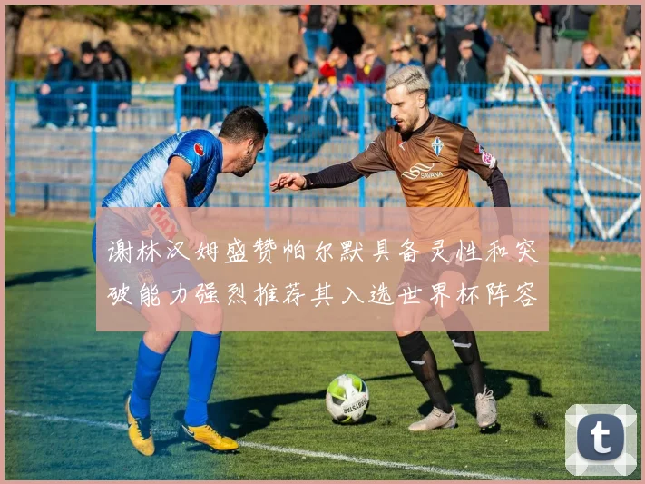 谢林汉姆盛赞帕尔默具备灵性和突破能力强烈推荐其入选世界杯阵容